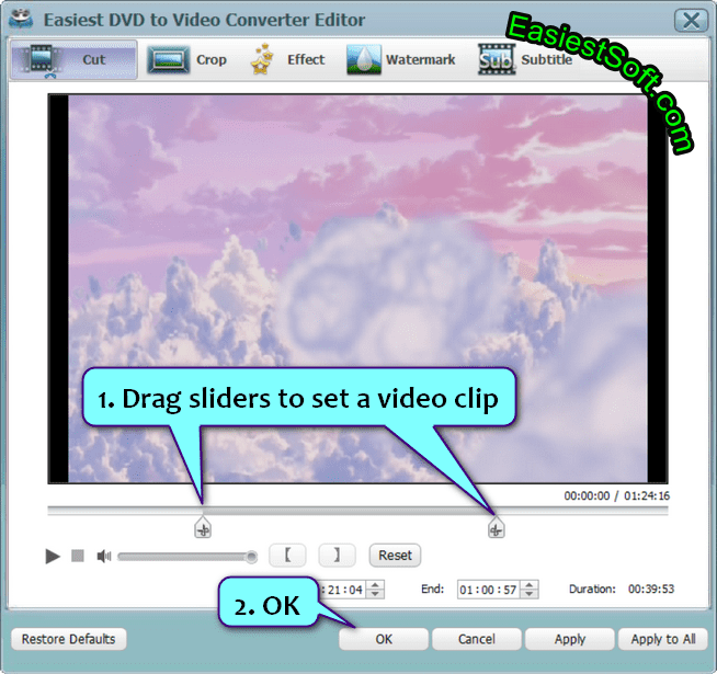 Set a DVD video clip in Easiest DVD to Video Converter Editor for Windows 10