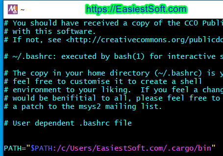 Edit PATH environment variable of MSYS2